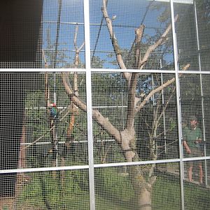 Madsbyparken - Macaw aviary