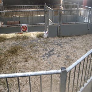 Madsbyparken - Stable building - Rabbit exhibit #1