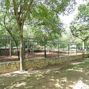 White-tailed deer enclosure