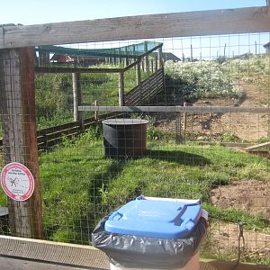 Madsbyparken - Rabbit exhibit
