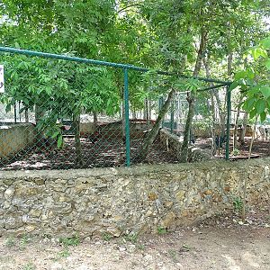 Domesticated turkey and chicken enclosure