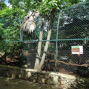 Galliform enclosures