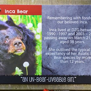 New sign about Inca.