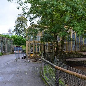 New sloth and monkey exhibit under construction