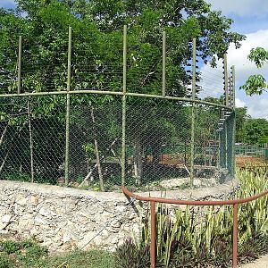 Former Guatamalan howler enclosure