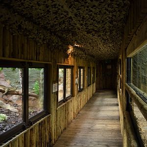 Part of reptile house interior
