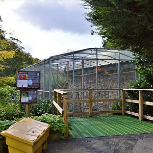 Macaw aviary raised viewing platform