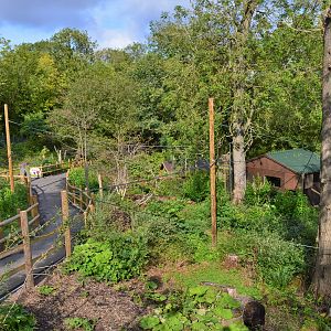 Revamped lemur walkthrough