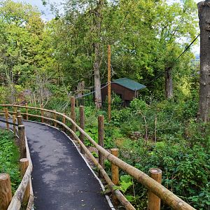 Revamped lemur walkthrough