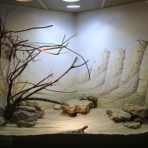 Mastiqure enclosure, Africa room