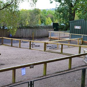 Extended pig pen in farmyard.
