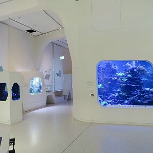 New Hall with front view of the coral reef