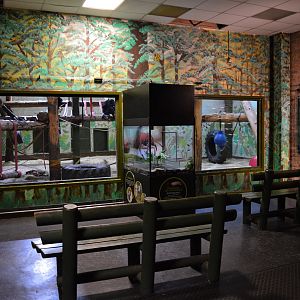 Chimp indoor viewing area.