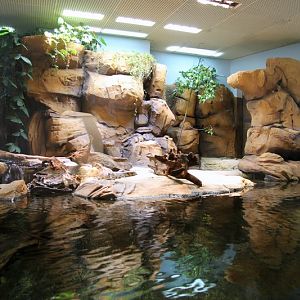 New hall, crocodiles