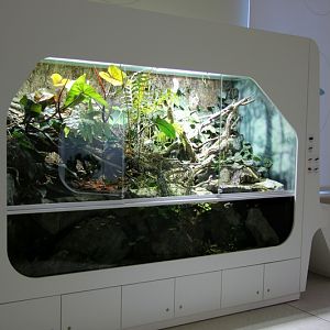 New hall with mangrove display