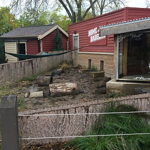 Badger Exhibit