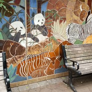 Smithsonian - Found a bongo :) Mural at visitor center