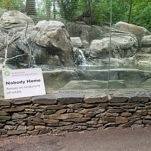 Smithsonian - Empty sloth bear exhibit