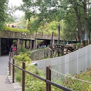 Smithsonian - upper and lower giant panda viewing levels, center yard