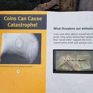 Smithsonian - Sign about throwing coins in pinniped pools