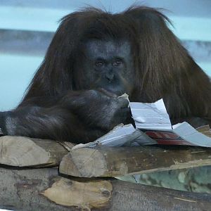 Lunch box, October 2019