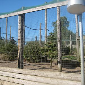 Madsbyparken - Chicken aviary