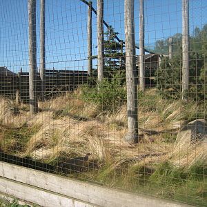 Madsbyparken - Pheasant aviary
