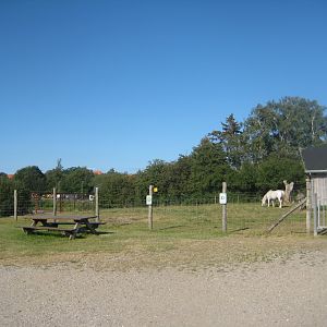 Madsbyparken - Mixed farm exhibit