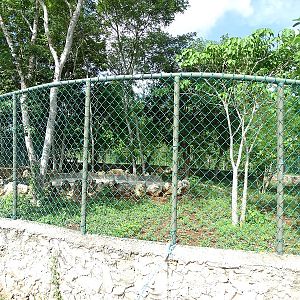 Former Baird's tapir enclosure