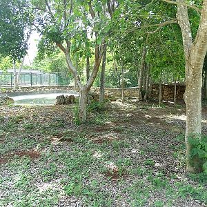 Former Baird's tapir enclosure