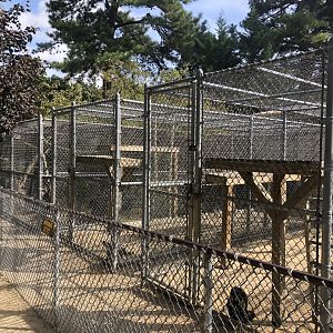 Primate enclosures