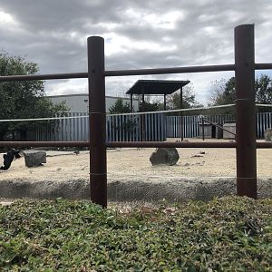 Cow/domestic livestock enclosure