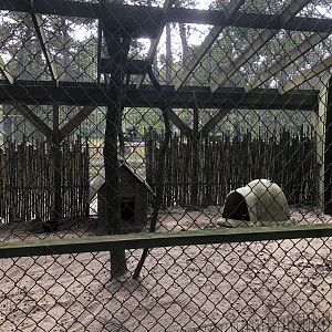 Ruppell's fox enclosure