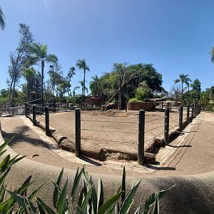 Sep. 2019 - Urban Jungle - Indian Rhino Exhibit