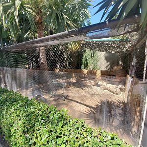 Sep. 2019 - Urban Jungle - Southern Ground Hornbill Exhibit