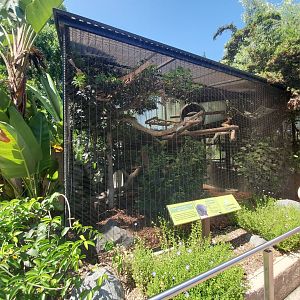 Sep. 2019 - Urban Jungle - Bearcat Exhibit