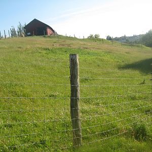 Madsbyparken - Sheep exhibit