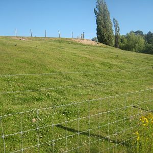 Madsbyparken - Goat exhibit