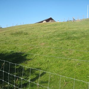 Madsbyparken - Goat exhibit