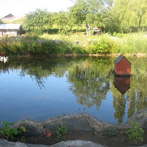 Madsbyparken - Duck pond