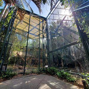 Sep. 2019 - Sun Bear Forest - Francois' Langur Exhibits