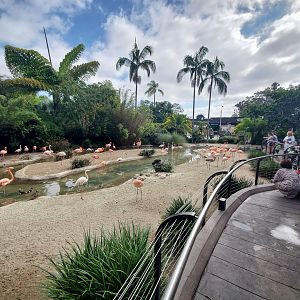 Sep. 2019 - Flamingo Lagoon