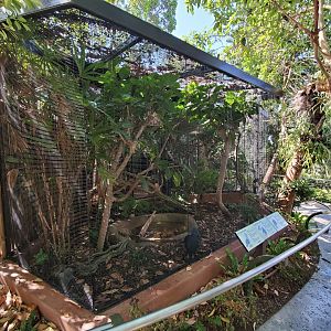 Sep. 2019 - The Lost Forest - Australasia Aviaries - Superb Bird of Paradise/Crowned Pigeon/Wompoo Fruit Dove Exhibit