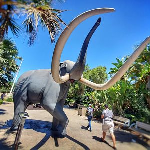 Sep. 2019 - Elephant Odyssey - Colombian Mammoth Statue