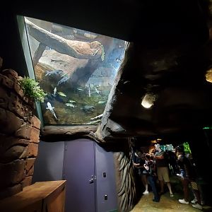 Sep. 2019 - River Scout - American Freshwater Ceiling Tank