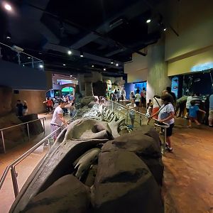 Sep. 2019 - Cold Water Quest