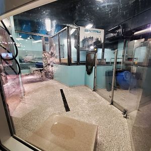 Sep. 2019 - Cold Water Quest - Sea Otter Rehab Center