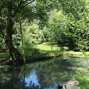 View in large walk-through aviary, 2019-08-04