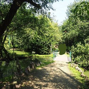 View in large walk-through aviary, 2019-08-04