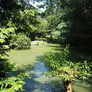 View in large walk-through aviary, 2019-08-04